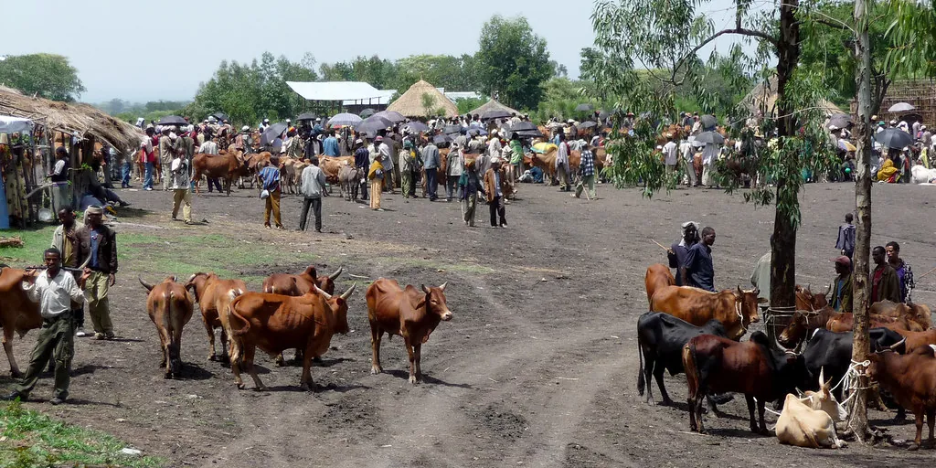 Grupo de personas en formación agraria en campo abierto